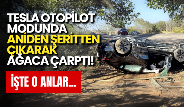 Tesla Otopilot Modunda Aniden Şeritten Çıkarak Ağaca Çarptı! İşte o anlar...