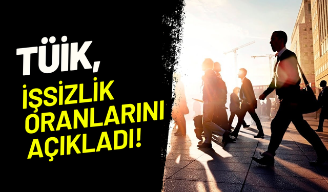 TÜİK işsizlik rakamlarını açıkladı: İşsiz sayısında düşüş, istihdamda gerileme