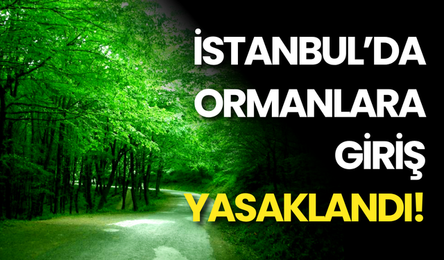İstanbul’da Ormanlara Giriş Yasaklandı! Ateş Yakana Dev Ceza Geliyor, Dikkat!