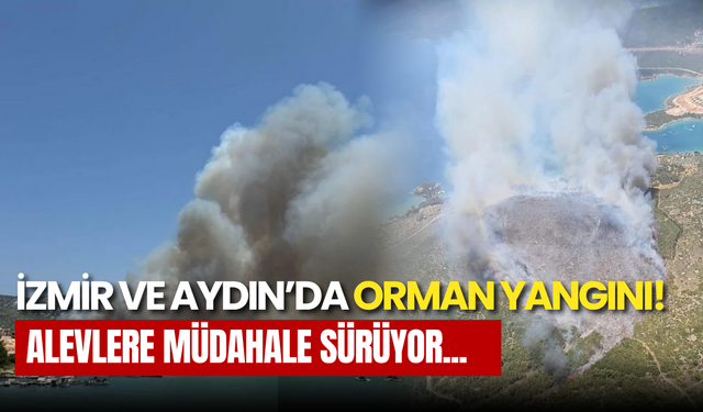 İzmir Foça’da Orman Yangını: Havadan ve Karadan Müdahale Sürüyor
