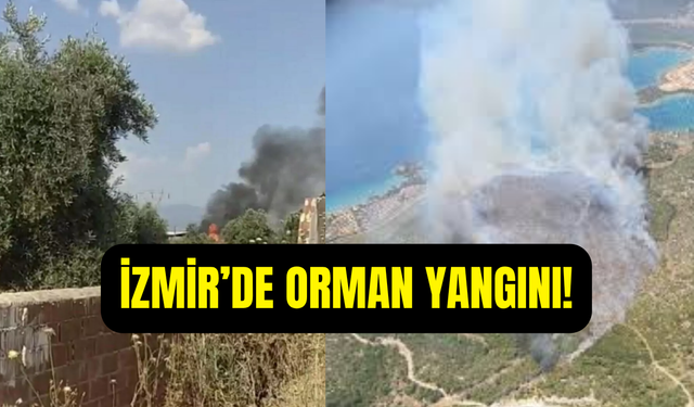 İzmir’de orman yangını alarmı: Ekipler havadan müdahale ediyor
