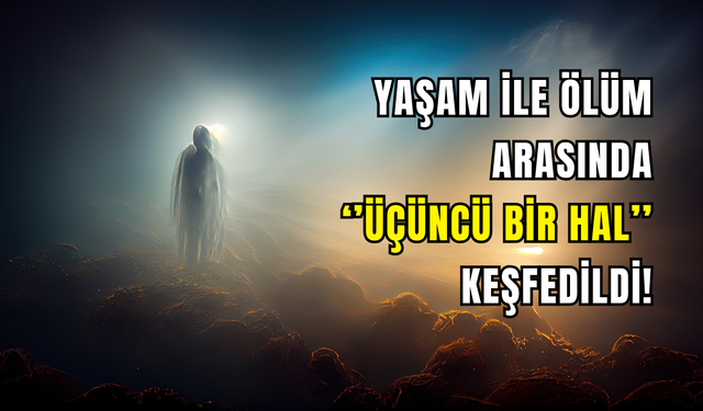 Yaşamın sınırları zorlanıyor: Bilim insanları üçüncü biyolojik hali keşfetti