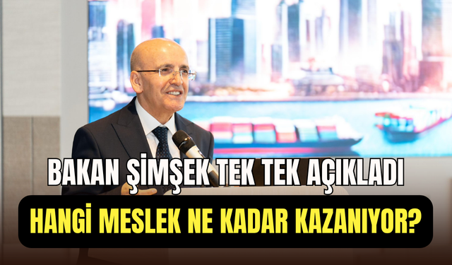 Bakan Şimşek gelir beyanlarını açıkladı: Doktor 61 bin, kuaför 3 bin TL beyan ediyor