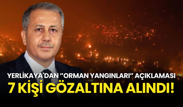 SON DAKİKA! Bakan Yerlikaya: Orman Yangınlarına İlişkin 7 Kişi Yakalandı