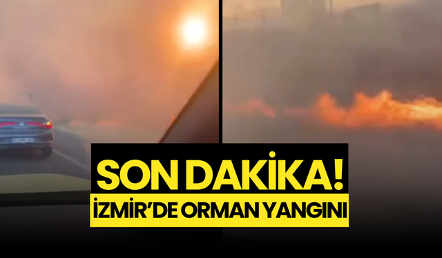 SONDAKİKA...İzmir Aliağa’da Orman Yangını!