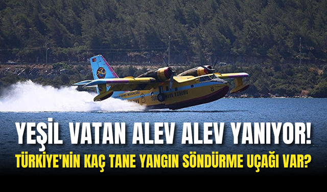 Türkiye'nin Kaç Tane Yangın Söndürme Uçağı Var?