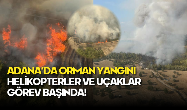 Adana’da Orman Yangını: Havadan ve Karadan Müdahale Sürüyor