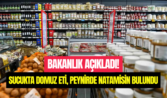 Gıda denetiminde skandal tespit: Sucukta domuz eti, peynirde natamisin bulundu
