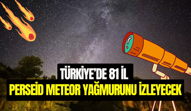 Saatte 100 meteorun düşeceği Perseid meteor yağmuru başlıyor