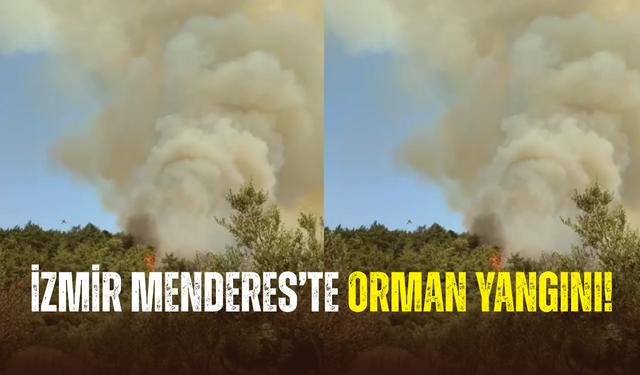 İzmir Menderes’te orman yangını