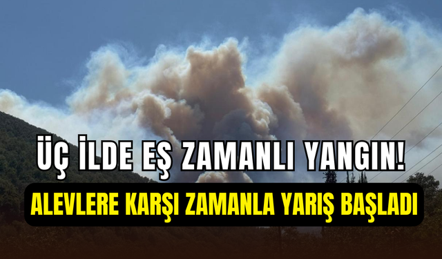 Kocaeli, Bartın ve Bursa’da eş zamanlı orman yangını