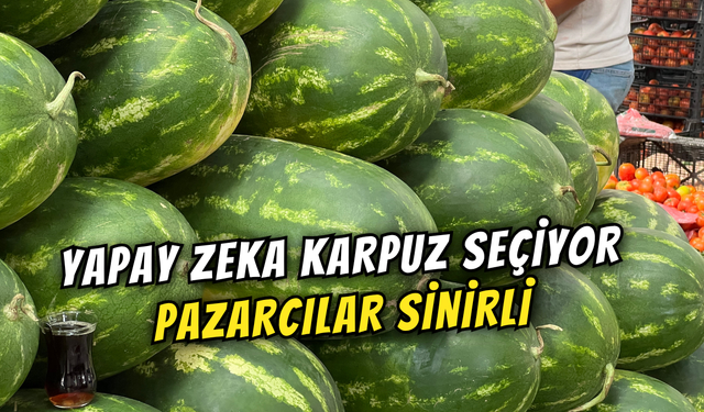 Yapay Zeka Karpuz Seçiminde Pazarcıya Meydan Okudu!