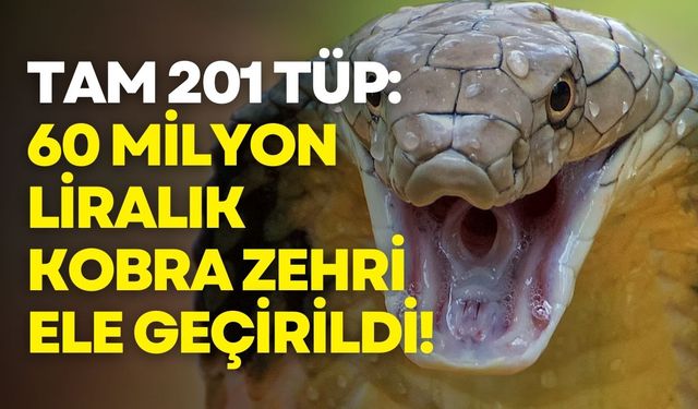 Burdur’da 60 milyon liralık kobra zehri operasyonu