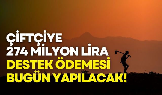 Çiftçiye 274,8 milyon lira destek ödemesi