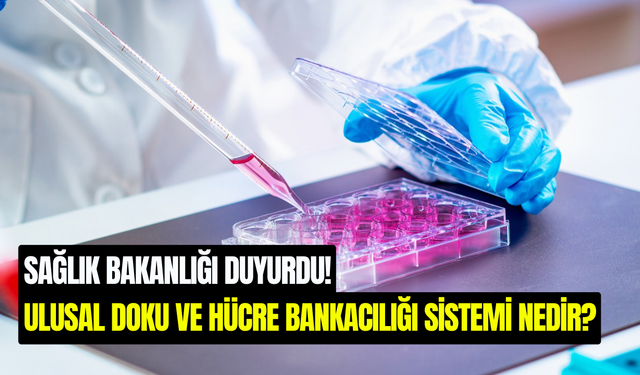 Ulusal Doku ve Hücre Bankacılığı Sistemi Nedir? Sağlık Bakanlığı Açıkladı