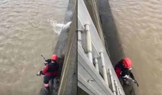 Dere yatağında mahsur kalan köpek, itfaiye tarafından kurtarıldı