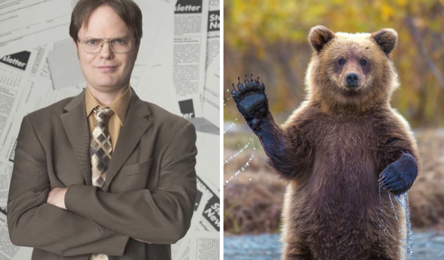 Ayılar hakkında bilmediğiniz ilginç gerçekler