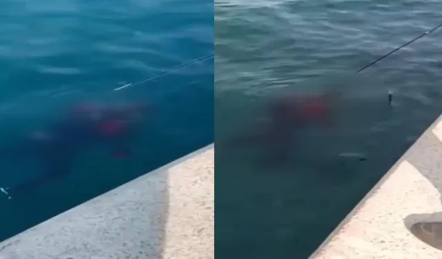 Beykoz’da Balıkçıların Oltasına Ceset Takıldı!