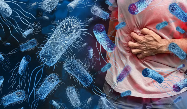 Gıda zehirlenmesini önlemenin en etkili yolları