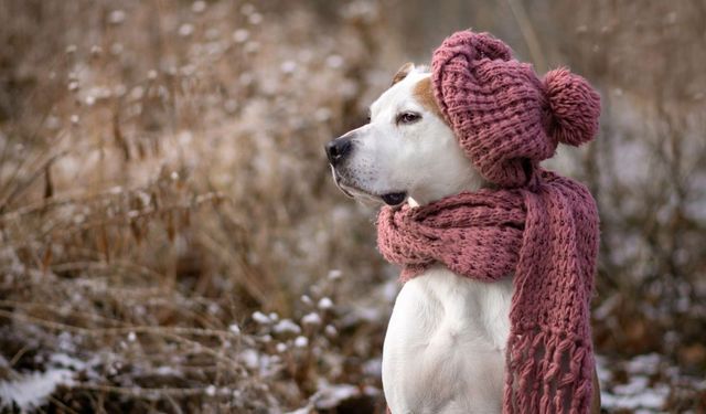 Meteoroloji uzmanından kış müjdesi: Bu yıl daha soğuk ve yağışlı geçecek