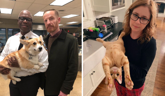 Bilim konuştu: Kedi ve köpekler hastalık değil, psikolojik destek sağlıyor