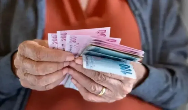 Emekli olan biri başka bir işte çalışabilir mi?