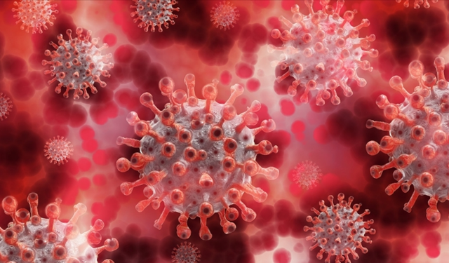 Maymun çiçeği virüsünde yeni varyant alarmı: İngiltere'de "hibrit" bir tür tespit edildi