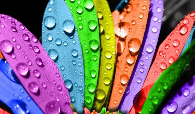 Renklerin Anlamları: Hangi Renk Ne İfade Eder?