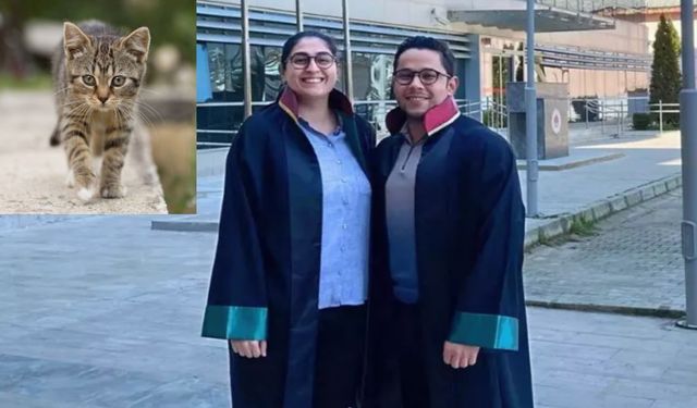 Hastanın üzerine kedi düşen hastane 50 bin lira ödeyecek