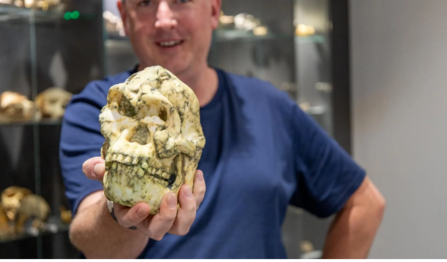 İnsanlık tarihi sil baştan: 3.6 milyon yıllık Little Foot yeni bir tür çıktı