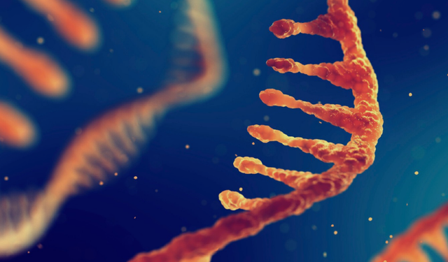 Tıpta yeni bir çağ: İleri seviye mRNA tedavileri
