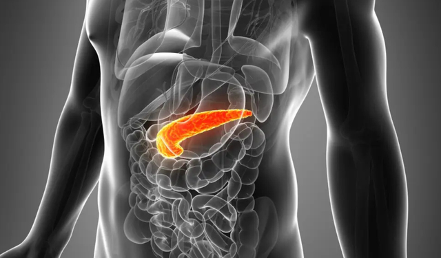 İspanyol bilim insanlarından pankreas kanserinde çığır açan buluş