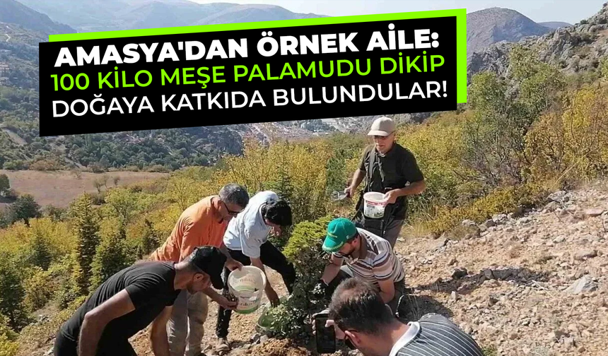 Amasya'dan Örnek Aile: 100 Kilo Meşe Palamudu Dikip Doğaya Katkıda Bulundular!