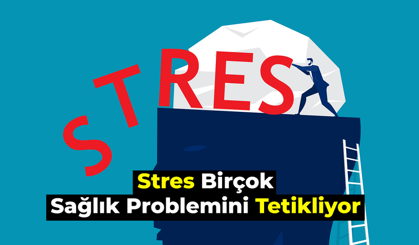 Stres, Birçok Sağlık Problemini Tetikliyor