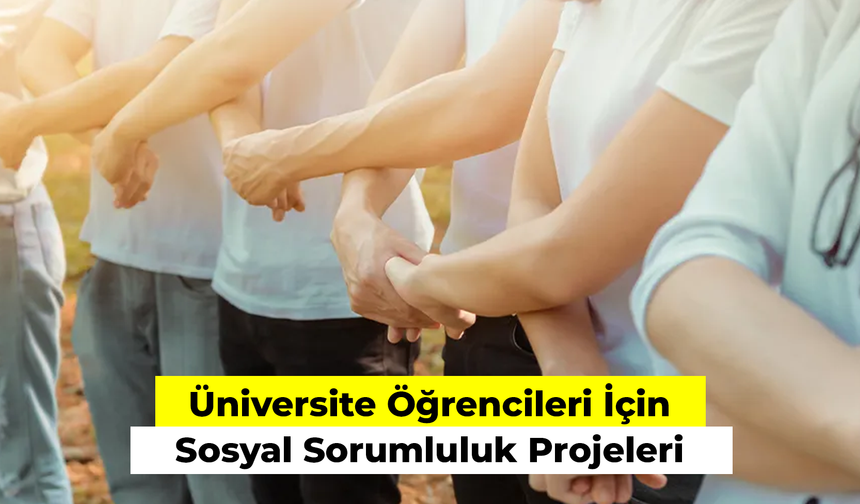 Üniversite Öğrencileri İçin Sosyal Sorumluluk Projeleri: Dünyadaki İlginç Örnekler