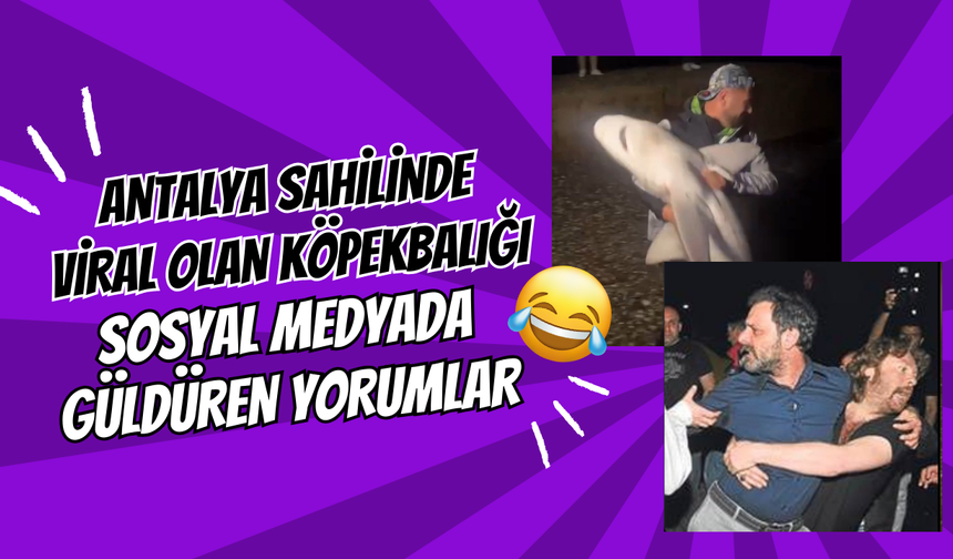 Antalya Sahilinde Viral Olan Köpekbalığı: Sosyal Medyada Güldüren Yorumlar