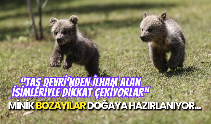 Mersin'in Yeni Yıldızları: Bozayı Kardeşlerin Kurtuluş Hikâyesi!