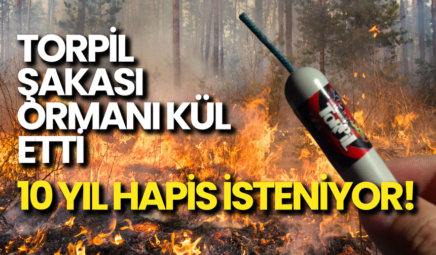 Torpil Şakası Ormanı Kül Etti: 10 Yıl Hapis İstendi