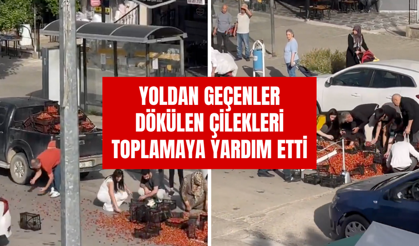 Çilek Dolu Araç Kaza Yaptı: Yoldan Geçenler Dökülenleri Toplamaya Yardım Etti!