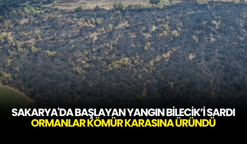 Sakarya’dan Bilecik’e Kabus Gibi Yangın! 14 Köy Boşaltıldı, Ormanlar Kül Oldu