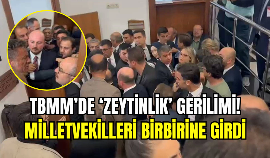 TBMM komisyonunda ortalık karıştı: Zeytinlik yasası tartışması, kavgaya dönüştü