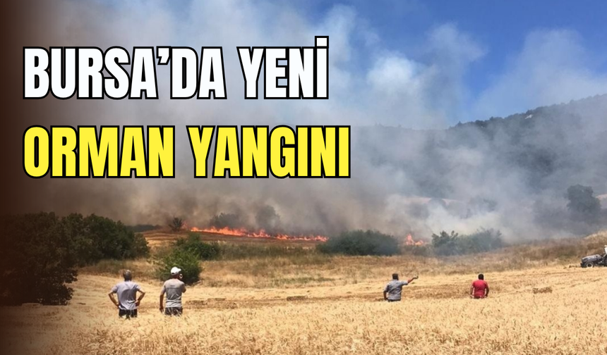Bursa’da yeni orman yangını: Yenişehir’de alevler yükseldi