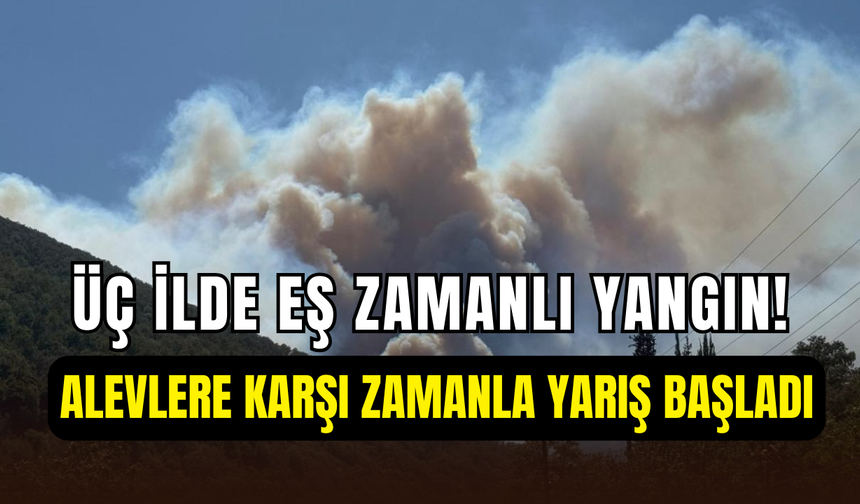 Kocaeli, Bartın ve Bursa’da eş zamanlı orman yangını