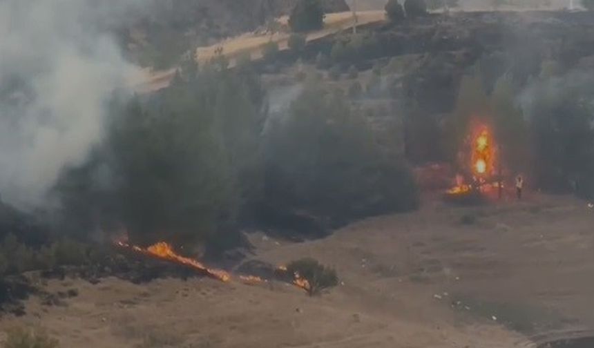Elazığ'daki kırsal alan yangını kamerada!