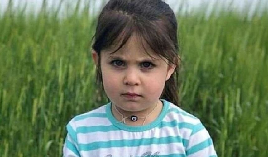 Leyla Aydemir davasında amca tutuklandı!