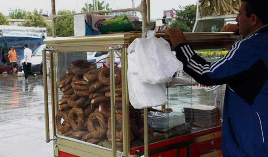 Seyyar satıcı ve ilaçlama firmalarına sıkı denetim