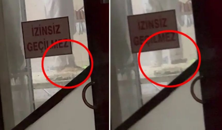 Tatlıcıda mide bulandıran skandal: Hamuru ayaklarıyla yoğurdu