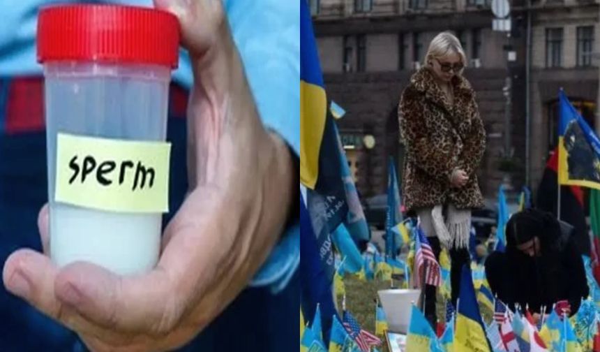 Asker eşlerine ölüm sonrası üreme hakkı: Devlet ücretsiz sperm donduracak