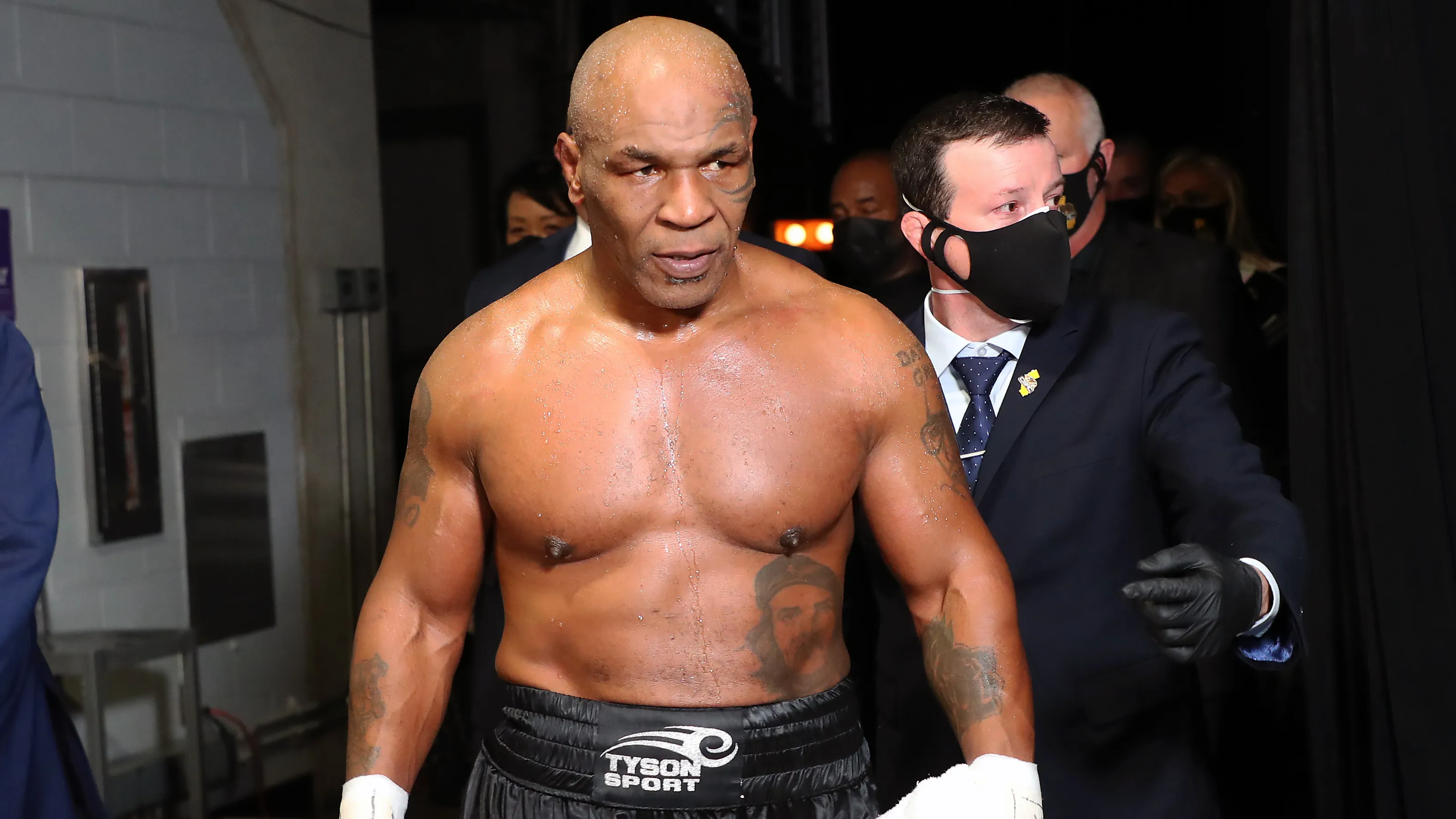 Mike Tyson Havadis