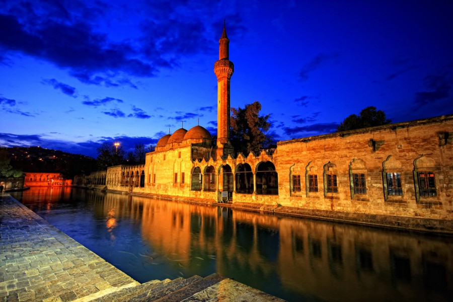 Urfa8